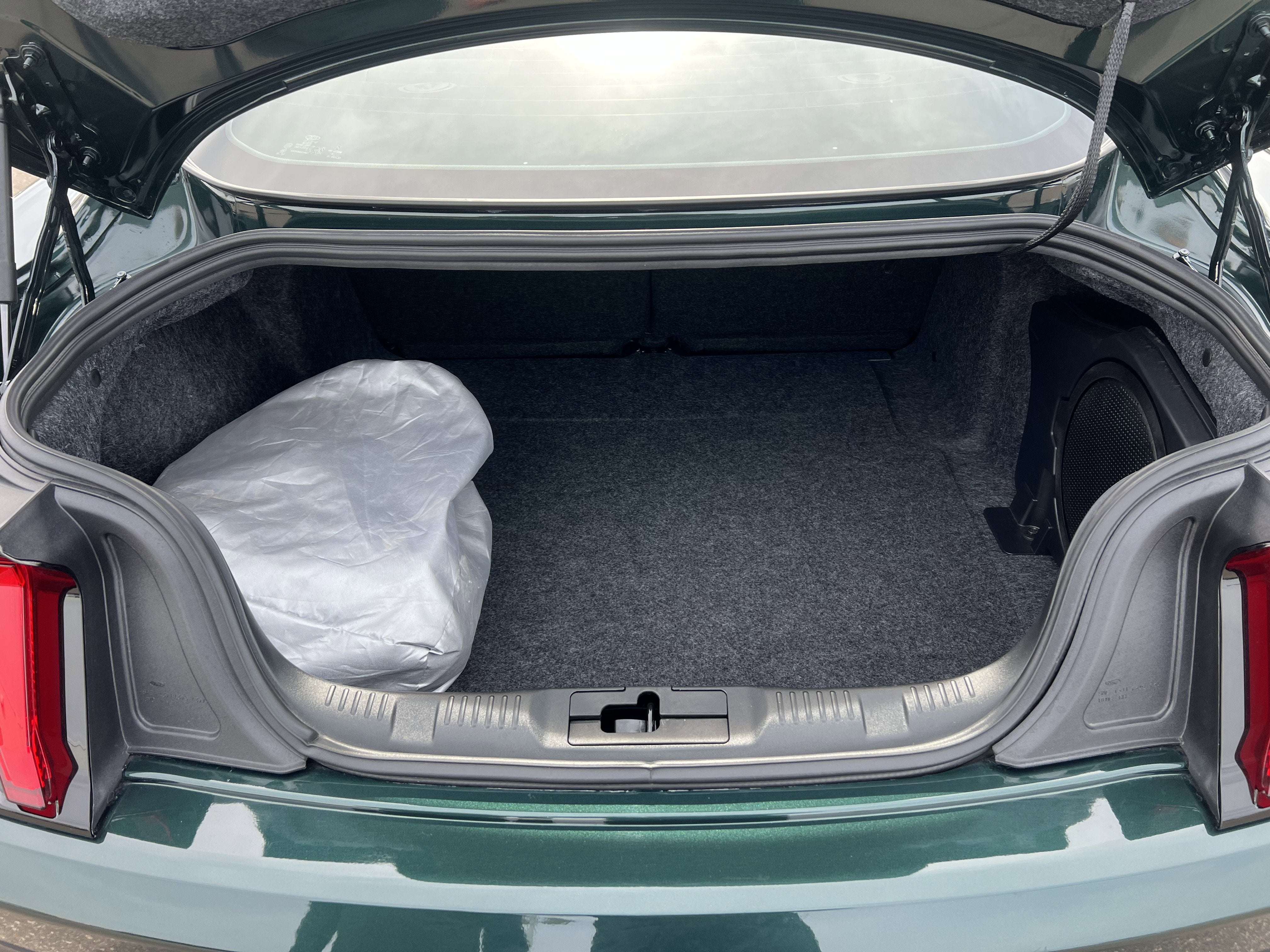 2019 Ford Mustang BULLITT