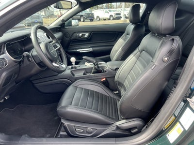 2019 Ford Mustang BULLITT