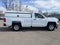 2017 Chevrolet Silverado 1500 Work Truck