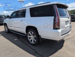 2019 Cadillac Escalade ESV Luxury