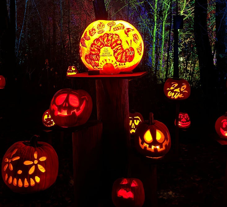 Jack-o-Lantern Spectacular