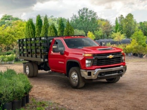 2024 Chevrolet Silverado 3500 HD Chassis Cab parked at a nursey with trees in back of truck